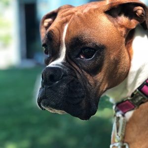 Meet your Posher, Courtney